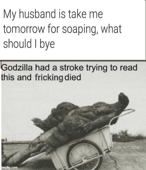 spelling | image tagged in godzilla had a stroke trying to read this and fricking died | made w/ Imgflip meme maker