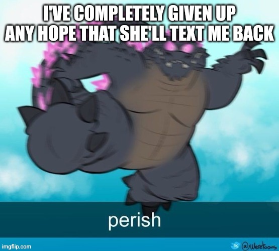 perish | I'VE COMPLETELY GIVEN UP ANY HOPE THAT SHE'LL TEXT ME BACK | image tagged in perish | made w/ Imgflip meme maker