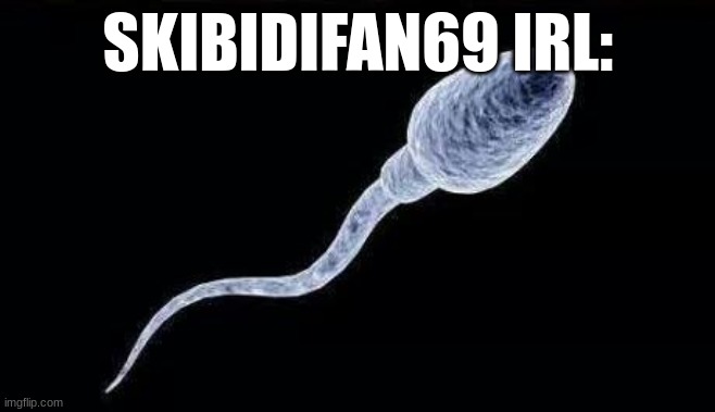 da sperm | SKIBIDIFAN69 IRL: | image tagged in da sperm | made w/ Imgflip meme maker