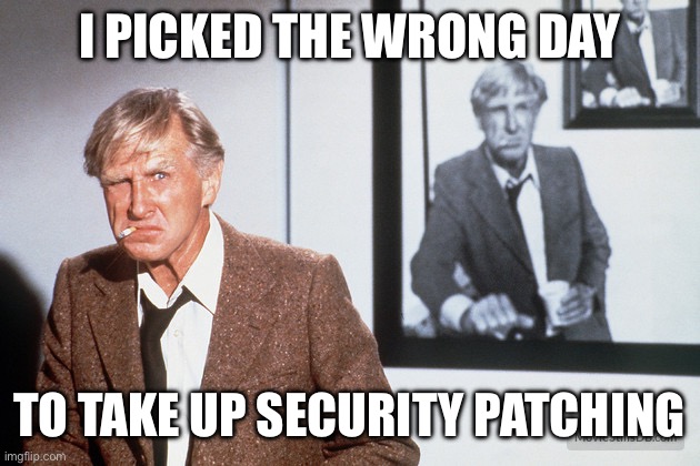 Crowdstrike | I PICKED THE WRONG DAY; TO TAKE UP SECURITY PATCHING | image tagged in wrong day | made w/ Imgflip meme maker