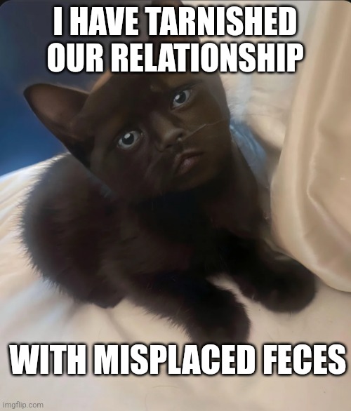 I HAVE TARNISHED OUR RELATIONSHIP; WITH MISPLACED FECES | made w/ Imgflip meme maker