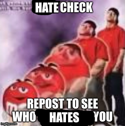Why not ig | image tagged in hate check | made w/ Imgflip meme maker