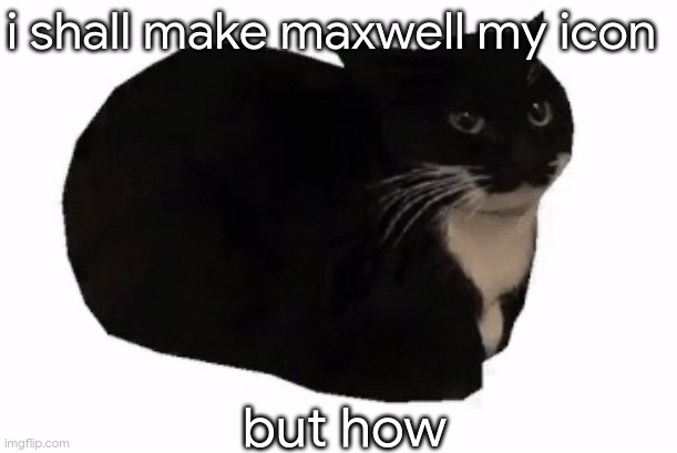 maxwell the cat | i shall make maxwell my icon; but how | image tagged in maxwell the cat | made w/ Imgflip meme maker