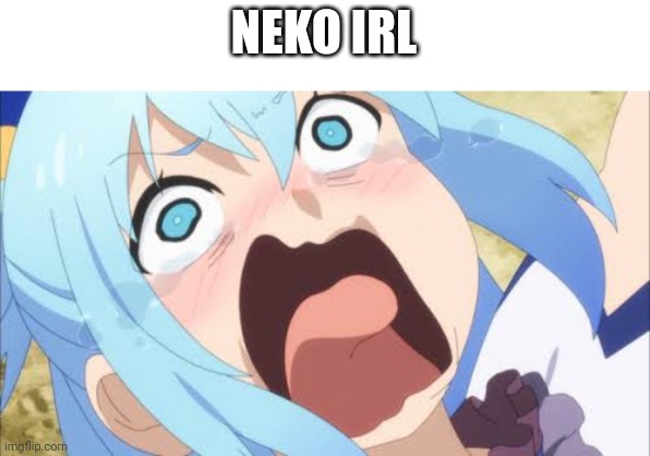 Aqua crying/screaming | NEKO IRL | image tagged in aqua crying/screaming | made w/ Imgflip meme maker