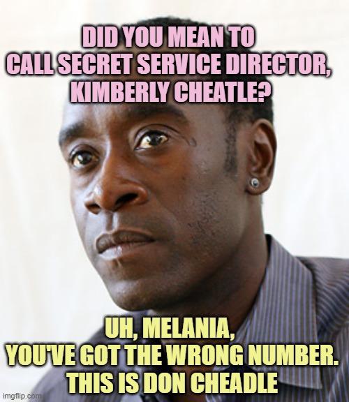 Don Cheadle | DID YOU MEAN TO 
CALL SECRET SERVICE DIRECTOR, 
KIMBERLY CHEATLE? UH, MELANIA, 
YOU'VE GOT THE WRONG NUMBER.
THIS IS DON CHEADLE | image tagged in don cheadle | made w/ Imgflip meme maker