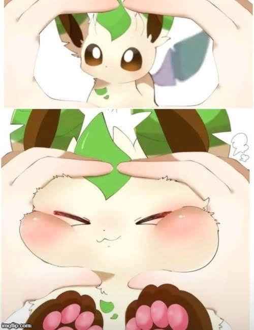 KnownLeafeon being a cute lettuce fox | image tagged in leafeon | made w/ Imgflip meme maker