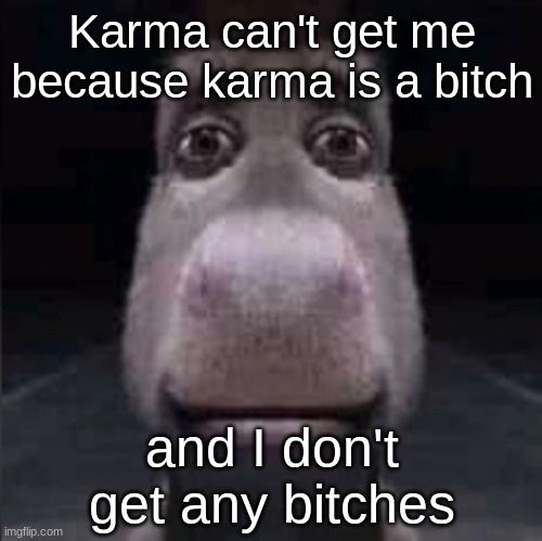 Jojo Siwa made us safe | Karma can't get me because karma is a bitch; and I don't get any bitches | image tagged in donkey stare,karma is a bitch | made w/ Imgflip meme maker
