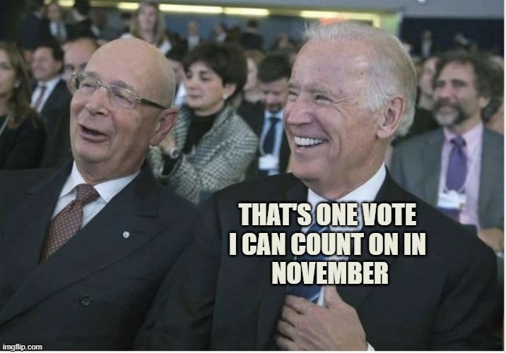 Klaus Schwab & Joe Biden | THAT'S ONE VOTE 
I CAN COUNT ON IN 
NOVEMBER | image tagged in klaus schwab joe biden | made w/ Imgflip meme maker