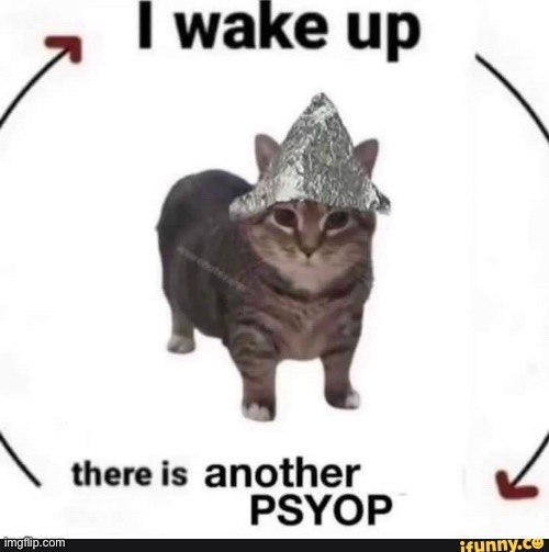 I wake up, there's another psyop | image tagged in i wake up there's another psyop | made w/ Imgflip meme maker