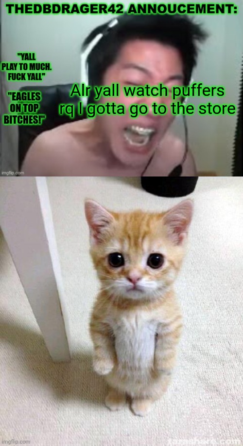 (not puffers in the image btw) | Alr yall watch puffers rq I gotta go to the store | image tagged in thedbdrager42s annoucement template,memes,cute cat | made w/ Imgflip meme maker