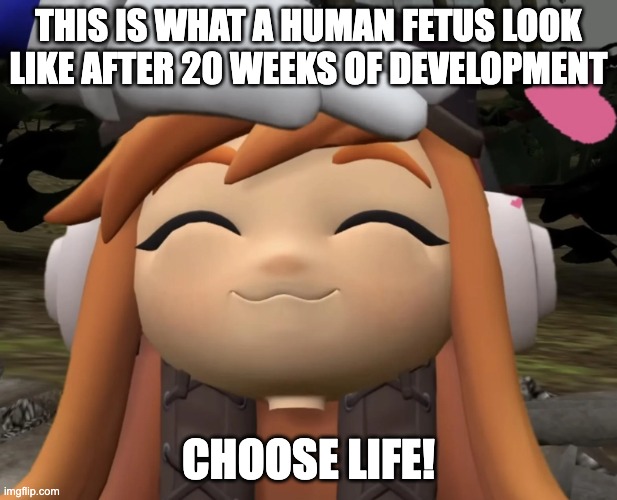 Im outta ideas... hope this still follows the rules tho! | THIS IS WHAT A HUMAN FETUS LOOK LIKE AFTER 20 WEEKS OF DEVELOPMENT; CHOOSE LIFE! | image tagged in satisfied leggy | made w/ Imgflip meme maker