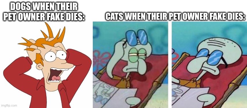 Them cats don’t even give a frick about it | DOGS WHEN THEIR PET OWNER FAKE DIES:; CATS WHEN THEIR PET OWNER FAKE DIES: | image tagged in fry freaking out,squidward don't care | made w/ Imgflip meme maker