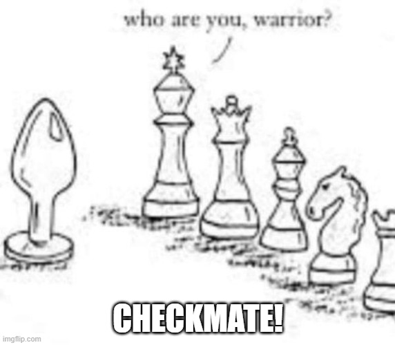 Make a Move | CHECKMATE! | image tagged in sex jokes | made w/ Imgflip meme maker