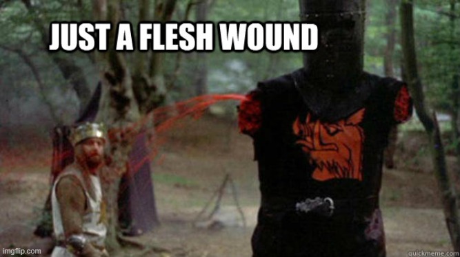 flesh wound | image tagged in flesh wound | made w/ Imgflip meme maker