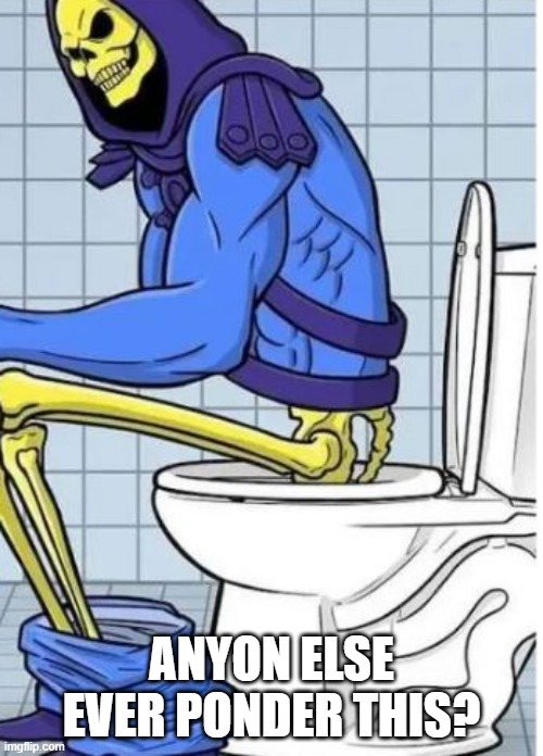 Skeletor on the Potty | ANYON ELSE EVER PONDER THIS? | image tagged in classic cartoons | made w/ Imgflip meme maker