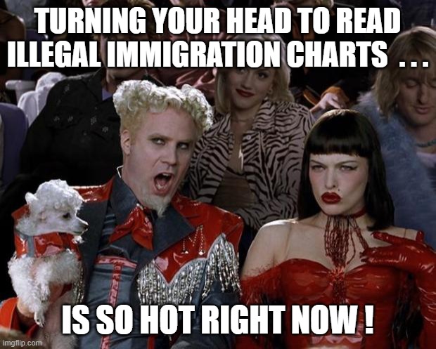 Immigration charts So Hot Right Now | TURNING YOUR HEAD TO READ ILLEGAL IMMIGRATION CHARTS  . . . IS SO HOT RIGHT NOW ! | image tagged in memes,mugatu so hot right now | made w/ Imgflip meme maker