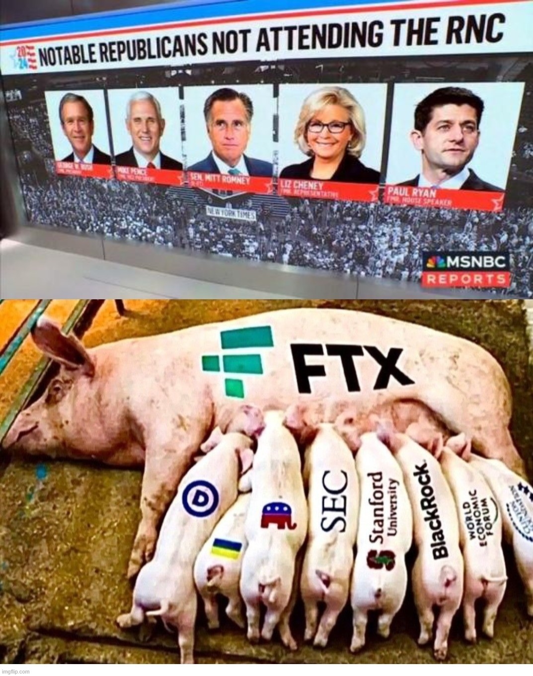 RINO﻿ Piglets not attending the ﻿RNC﻿ Convention | image tagged in ftx,rino,rinos,swine,piglets,traitors | made w/ Imgflip meme maker