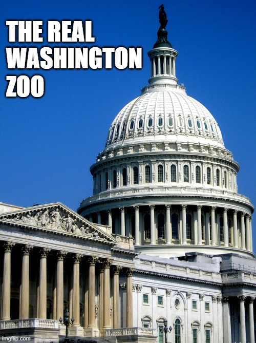 The Real Washington Zoo | THE REAL WASHINGTON; ZOO | image tagged in us capitol building,congress,government,politics | made w/ Imgflip meme maker