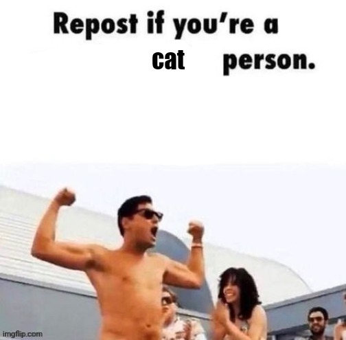 repost if you're a | cat | image tagged in repost if you're a | made w/ Imgflip meme maker