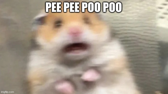 pee pee poo poo | PEE PEE POO POO | image tagged in pee pee poo poo | made w/ Imgflip meme maker
