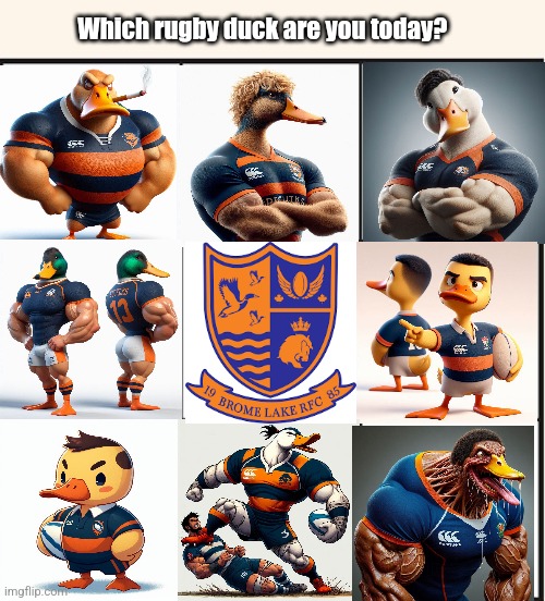 Which one are you? | Which rugby duck are you today? | image tagged in which one are you | made w/ Imgflip meme maker