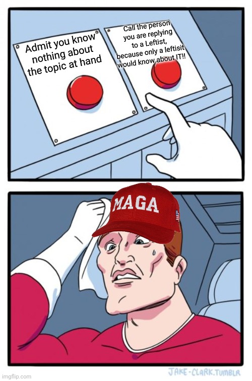 Geniuses...until they arent. | Call the person you are replying to a Leftist, because only a leftisit would know about IT!! Admit you know nothing about the topic at hand | image tagged in memes,two buttons | made w/ Imgflip meme maker