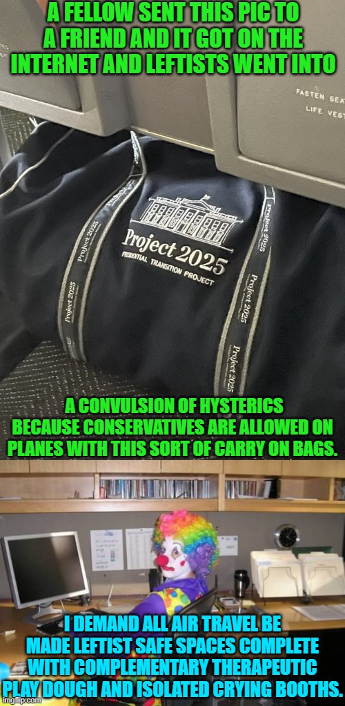 First target an invented problem, drive people into hysterics, then pass unnecessary laws. | A FELLOW SENT THIS PIC TO A FRIEND AND IT GOT ON THE INTERNET AND LEFTISTS WENT INTO; A CONVULSION OF HYSTERICS BECAUSE CONSERVATIVES ARE ALLOWED ON PLANES WITH THIS SORT OF CARRY ON BAGS. I DEMAND ALL AIR TRAVEL BE MADE LEFTIST SAFE SPACES COMPLETE WITH COMPLEMENTARY THERAPEUTIC PLAY DOUGH AND ISOLATED CRYING BOOTHS. | image tagged in plot twist,well yes but actually no,government corruption,cover up,politicians suck,evil democrats | made w/ Imgflip meme maker