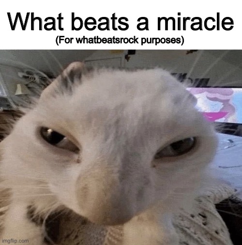 G | What beats a miracle; (For whatbeatsrock purposes) | image tagged in g | made w/ Imgflip meme maker