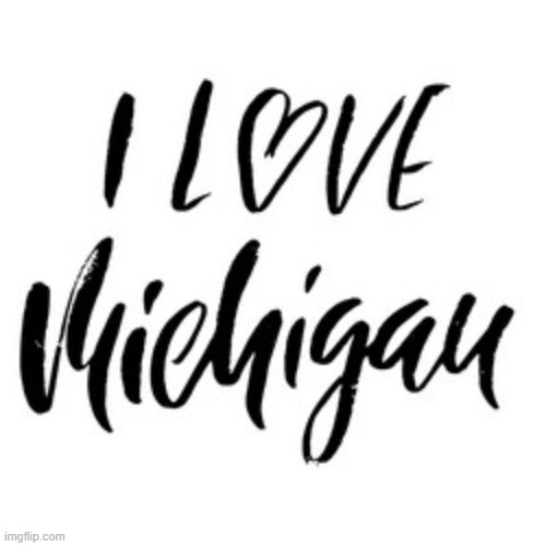 I love my home State | image tagged in i love michigan | made w/ Imgflip meme maker