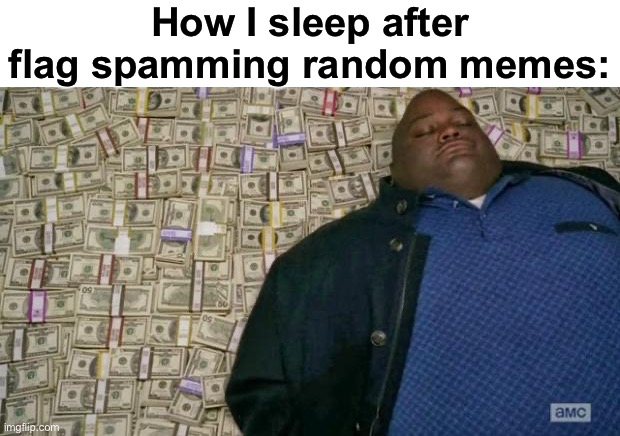 I just flag spammed a bunch of shit lmao, I’m gonna get banned | How I sleep after flag spamming random memes: | image tagged in huell money | made w/ Imgflip meme maker