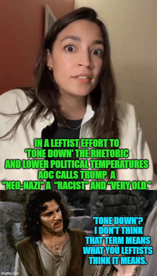 Of course 'think' is the problem.  We are, after all, referring to the average leftist. | IN A LEFTIST EFFORT TO 'TONE DOWN' THE RHETORIC AND LOWER POLITICAL TEMPERATURES AOC CALLS TRUMP  A "NEO-NAZI" A  “RACIST” AND “VERY OLD.”; 'TONE DOWN'?  I DON'T THINK THAT TERM MEANS WHAT YOU LEFTISTS THINK IT MEANS. | image tagged in charlie's angels,trumps fat female secret service epic woke fail | made w/ Imgflip meme maker