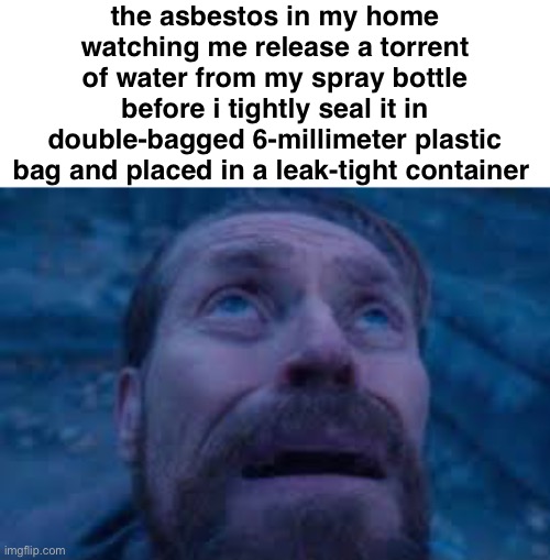 wont release any fibers anytime soon | the asbestos in my home watching me release a torrent of water from my spray bottle before i tightly seal it in double-bagged 6-millimeter plastic bag and placed in a leak-tight container | image tagged in william dafoe looks up | made w/ Imgflip meme maker