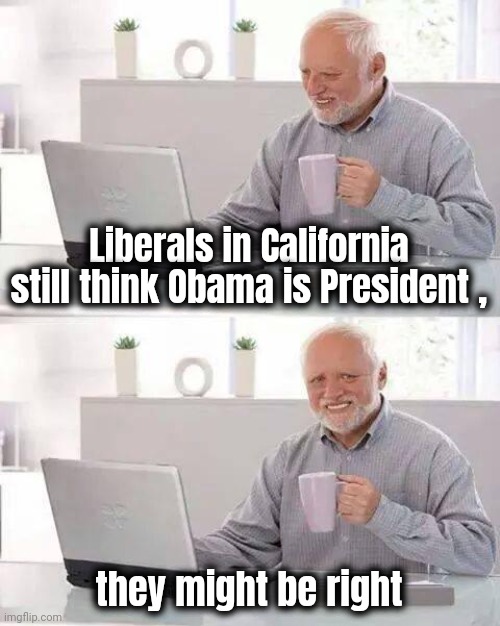 Accidentally Intelligent | Liberals in California still think Obama is President , they might be right | image tagged in memes,hide the pain harold,stupid liberals,well yes but actually no,lucky guess | made w/ Imgflip meme maker