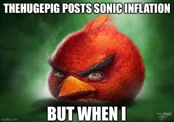 Realistic Red Angry Birds | THEHUGEPIG POSTS SONIC INFLATION; BUT WHEN I | image tagged in realistic red angry birds | made w/ Imgflip meme maker