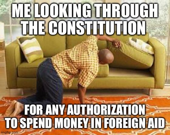 searching  | ME LOOKING THROUGH THE CONSTITUTION; FOR ANY AUTHORIZATION TO SPEND MONEY IN FOREIGN AID | image tagged in searching | made w/ Imgflip meme maker