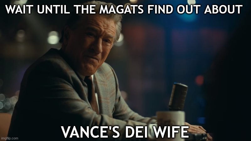 WAIT UNTIL THE MAGATS FIND OUT ABOUT VANCE'S DEI WIFE | image tagged in you're laughing | made w/ Imgflip meme maker