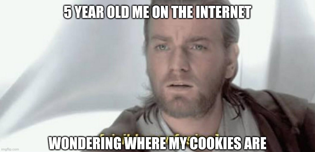 yes | 5 YEAR OLD ME ON THE INTERNET; WONDERING WHERE MY COOKIES ARE | image tagged in visible confusion | made w/ Imgflip meme maker