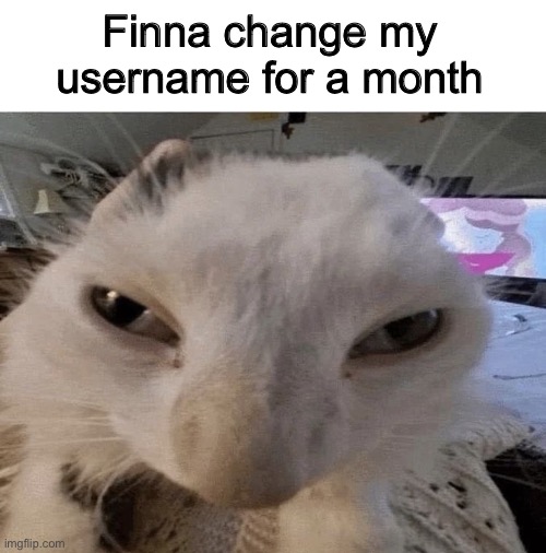 G | Finna change my username for a month | image tagged in g | made w/ Imgflip meme maker