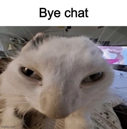 G | Bye chat | image tagged in g | made w/ Imgflip meme maker