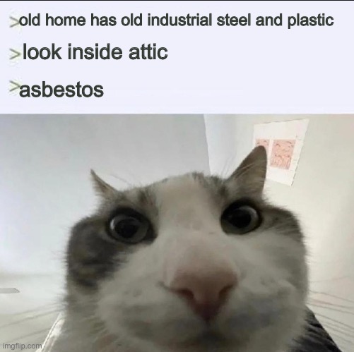 remove to prevent asbestosis | old home has old industrial steel and plastic; look inside attic; asbestos | image tagged in cat looks inside | made w/ Imgflip meme maker