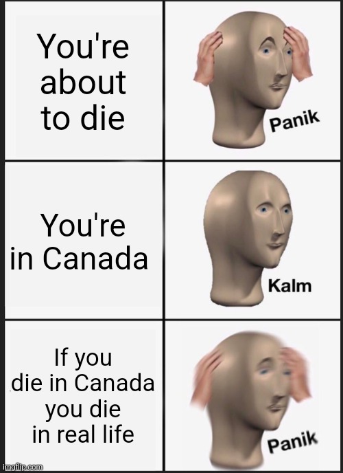 NO DONT YOU GET IT???? | You're about to die; You're in Canada; If you die in Canada you die in real life | image tagged in memes,panik kalm panik | made w/ Imgflip meme maker