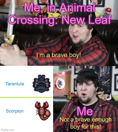 Trust me, finding these two is terrifying in Animal Crossing. And that's not even counting wasps. | Me, in Animal Crossing: New Leaf; Me | made w/ Imgflip meme maker