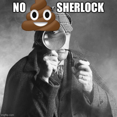 Sherlock Holmes | NO               SHERLOCK | image tagged in sherlock holmes | made w/ Imgflip meme maker