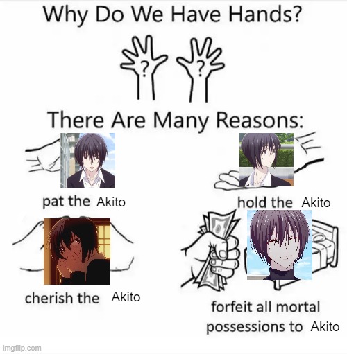 Why do we have hands, Akito Sohma edition | Akito; Akito; Akito; Akito | image tagged in why do we have hands all blank | made w/ Imgflip meme maker