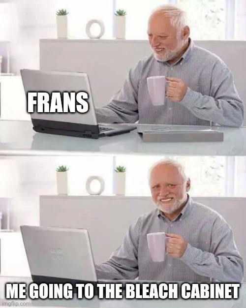 why. | FRANS; ME GOING TO THE BLEACH CABINET | image tagged in memes,hide the pain harold,pain,undertale | made w/ Imgflip meme maker