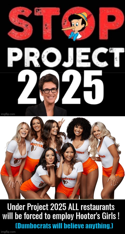 Project 2025 Hooters malarkey | Under Project 2025 ALL restaurants will be forced to employ Hooter's Girls ! (Dumbocrats will believe anything.) | image tagged in project 2025 liars madcow,hooters girls png with transparency,project | made w/ Imgflip meme maker