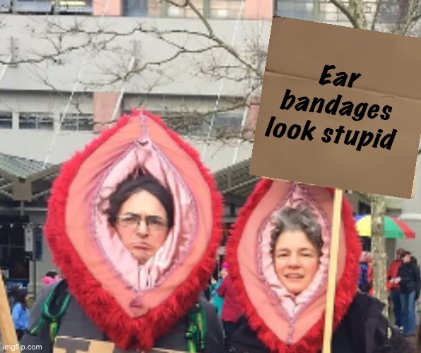 speaking of stupid ear coverings: | Ear bandages look stupid | image tagged in politics lol,memes,liberal logic,progressives | made w/ Imgflip meme maker