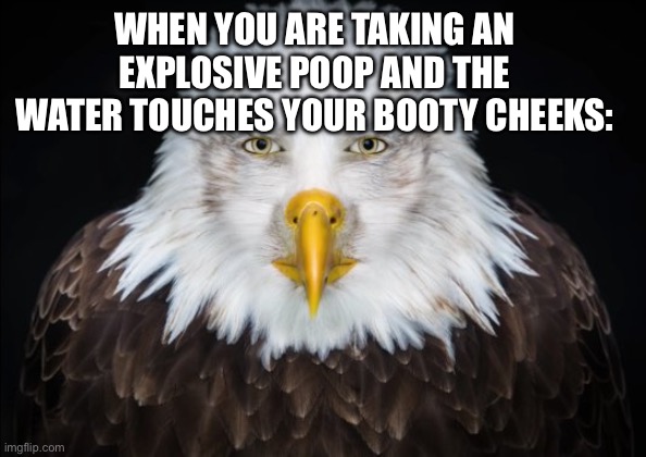 I hate this bro ?? ITS SO DIRTY | WHEN YOU ARE TAKING AN EXPLOSIVE POOP AND THE WATER TOUCHES YOUR BOOTY CHEEKS: | image tagged in bald eagle stare | made w/ Imgflip meme maker