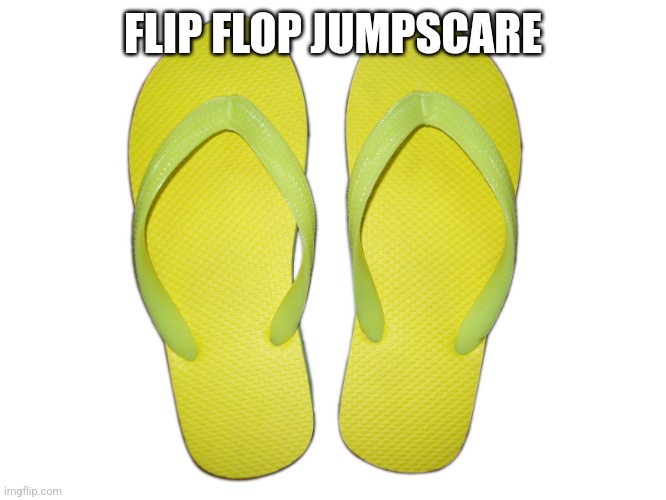 Flip Flops | FLIP FLOP JUMPSCARE | image tagged in flip flops | made w/ Imgflip meme maker