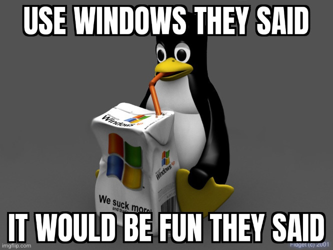 Use Windows They Said | image tagged in windows crash,7/19/2024,linux,tux,crowdstrike,y2k | made w/ Imgflip meme maker